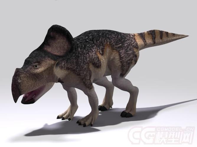 带贴图的可爱小恐龙,恐龙幼崽,写实年幼的恐龙,原角龙protoceratops