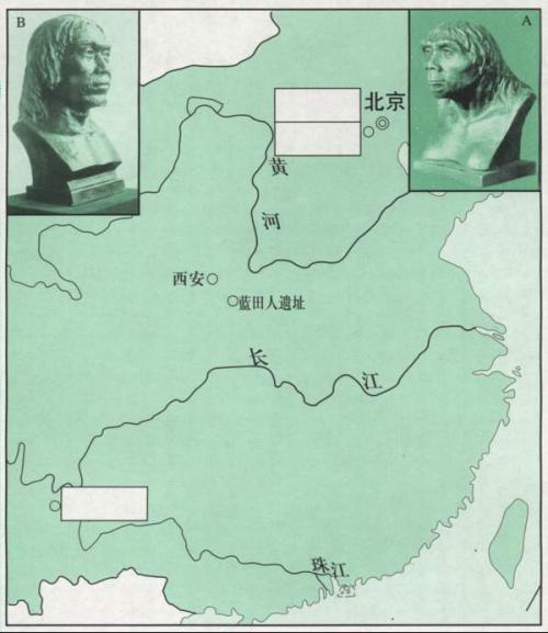 河姆渡人和半坡人手抄报 名人手抄报