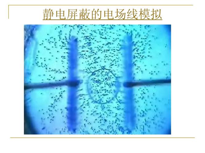 信息丰富,图片新颖 静电屏蔽的电场线模拟