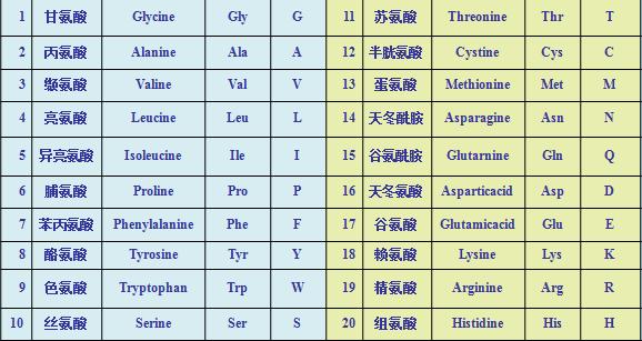 生物化学问题,分析蛋白质氨基酸序列