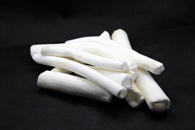 中药材通草,梗通草