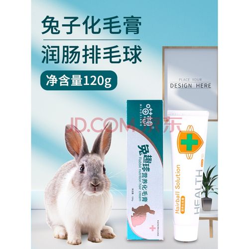 天弗喵想兔子化毛膏排毛球兔趣球美毛亮毛龙猫仓鼠荷兰猪兔专用营养膏