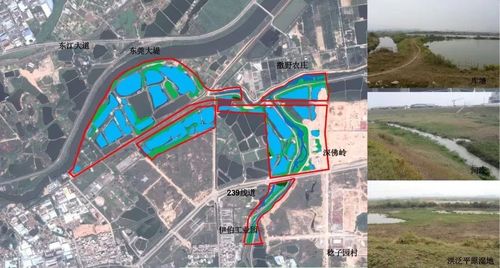 东莞市《政府工作报告》多次提及谢岗镇两个湿地公园建设 将其纳入