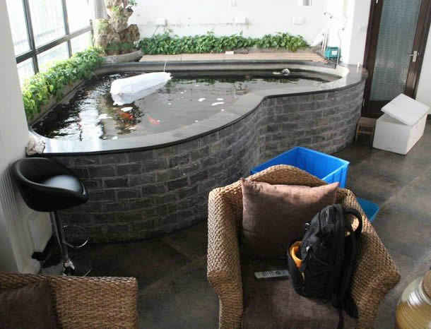 庭院鱼池的风水布局