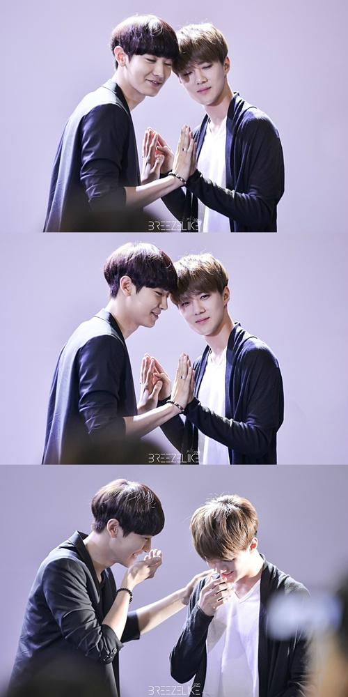 exo 朴灿烈 吴世勋