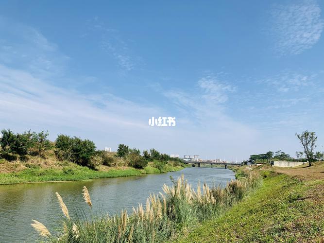 周末与大自然约会97深圳坪山河湿地公园_湿地公园_约会_草坪_休闲