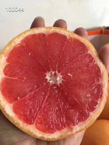 南非西柚8个大果,38.9包邮包售后