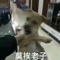 莫挨老子表情包
