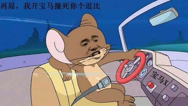 傻屌,我开宝马撞死你个逗比