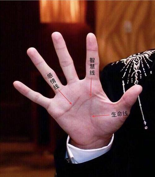 没想到神通广大的粉丝们,竟然放大了照片来替他们看手相!