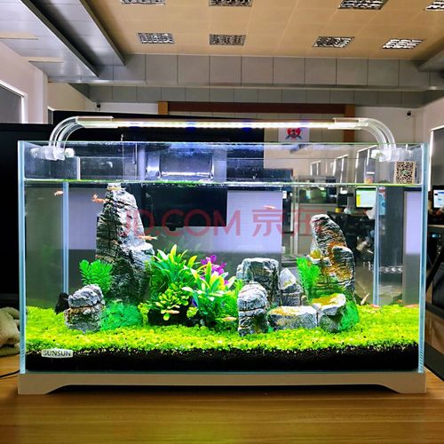 森森金鱼缸小型水族箱超白玻璃客厅生态水草缸乌龟缸造景草缸 超白缸