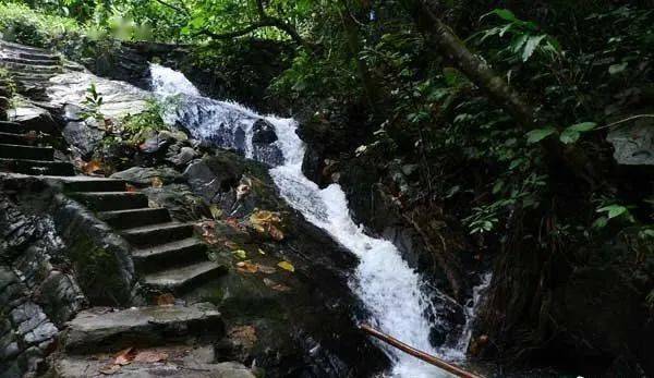 陆川龙颈瀑布景区位于温泉镇四良村群峰峡谷里,山清水秀,瀑布奇特