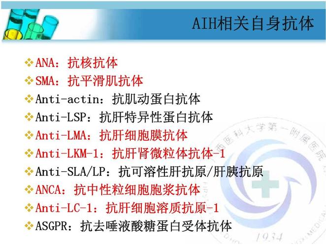 自身免疫性肝病自身抗体谱