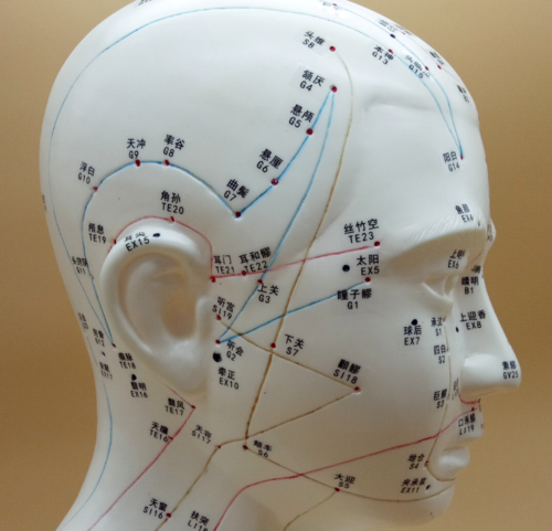 伟叶头部针灸穴位模型大小可选高经络穴位图脑袋面脸部按摩刮痧丰帆铜
