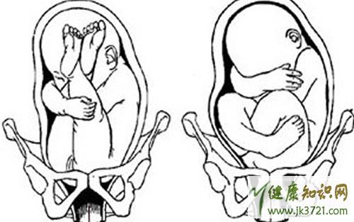 一般也分6个方位,即骶左前(lsa),骶左横(lst),骶左后(lsp)