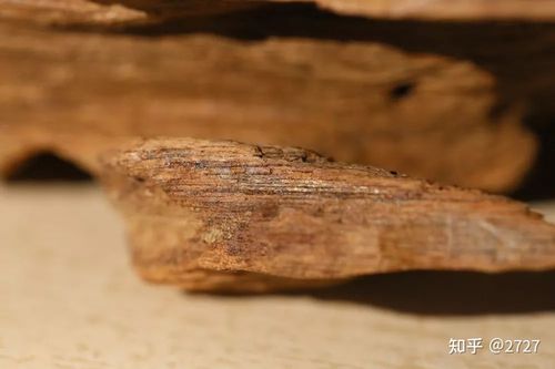 中国海南山里人国宝天香名木珍宝:沉香十德,常薰常习.