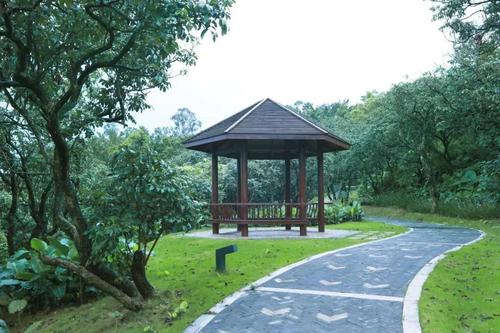 "淘金山绿道"背靠山麓,俯瞰深圳水库,还有绝美的驿站 智能出行