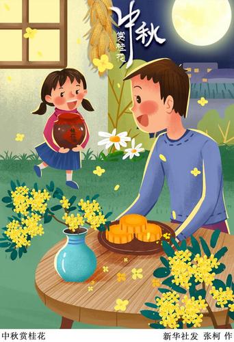 (图表·插画)「中秋节」中秋赏桂花