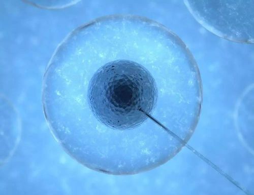 细胞健康是人体健康的基础