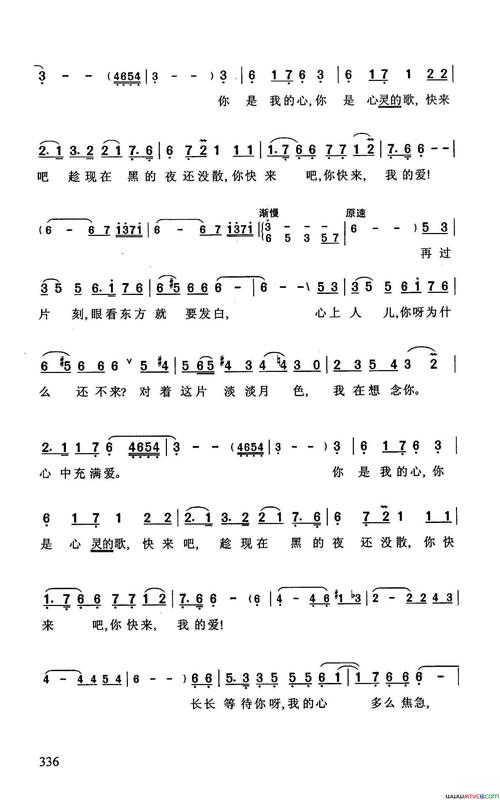 你是我的心印度影片流浪者中的丽达之歌