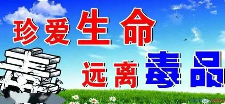 石嘴山市禁毒办领导莅临我校检查指导毒品预防教育示范校创建工作