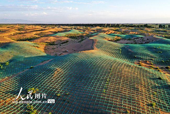 甘肃高台:荒漠变绿洲|戈壁|麦草|高台县_网易订阅