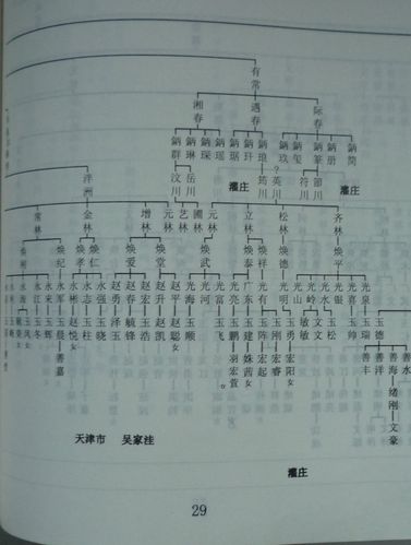 泰安姚庄赵氏族谱伯周三子彦荆第一支通序谱一