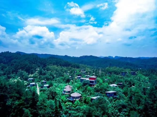 贵州这些宝藏级森林公园,让春天"绿"动起来