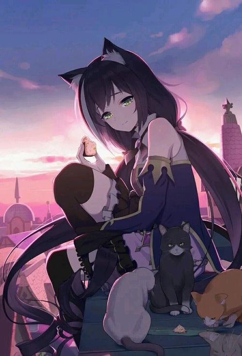 今日专题:接头霸王——凯露