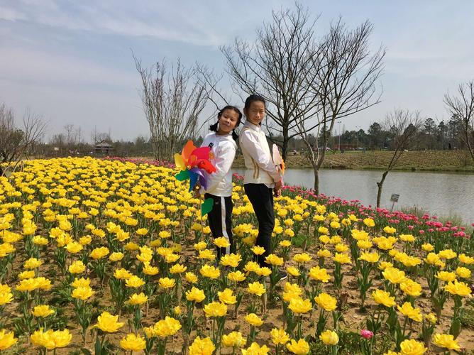 赏花踏青一一龙游花海