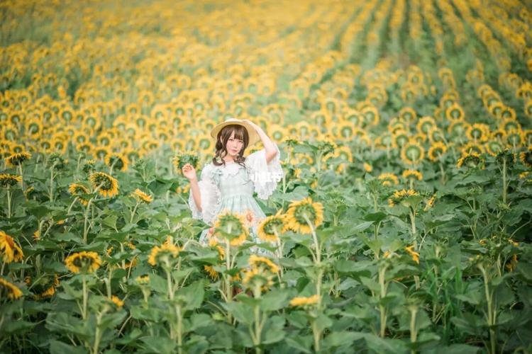 北京约拍—向日葵人像写真_约拍_写真_向日葵_摄影_北京攻略_太阳花