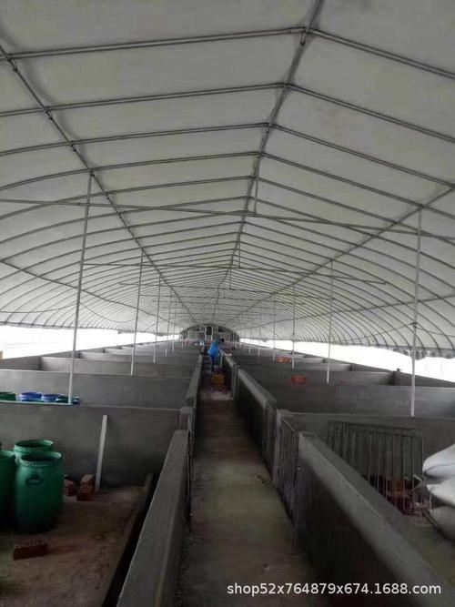 养牛大棚 水产温室养殖大棚 肉鸡肉鸭养殖大棚骨架 养猪大棚