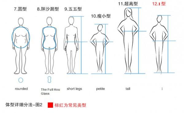 12种体型分析你属于哪种