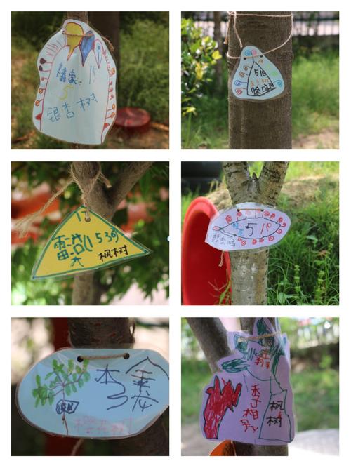 其它 我给大树做名片 写美篇 城堡幼儿园有很多不一样的树 我认识一些