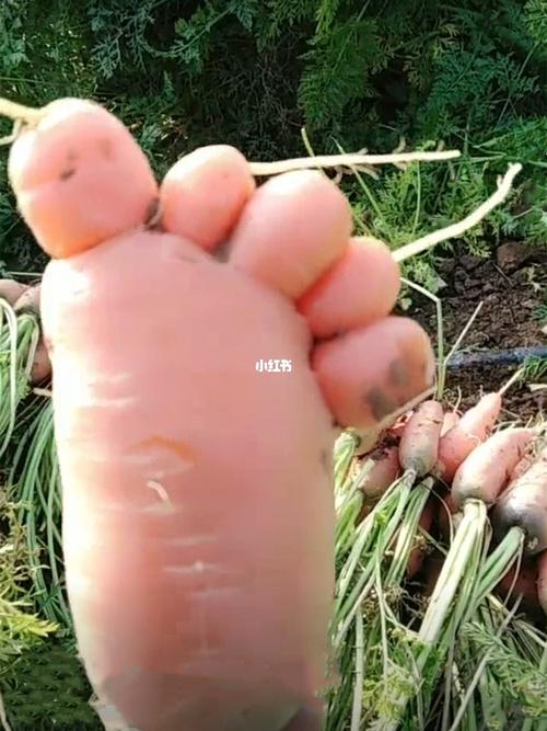 好嫩的脚丫子_搞笑_搞笑日常_萌娃_宝宝日常