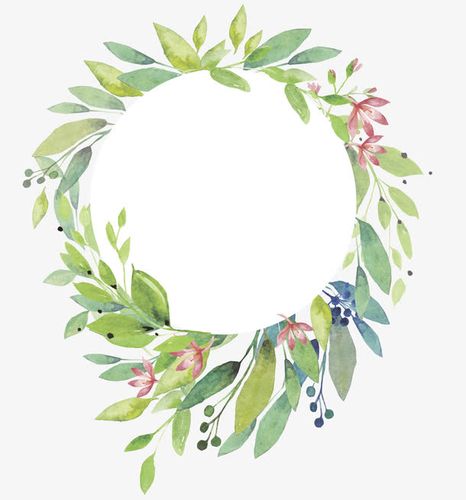 关键词 : 圆形的,绿色的叶子,花环,装饰,树叶,水彩,绘画
