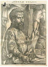 andreas vesalius画像