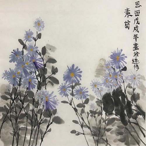 雏菊花开
