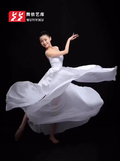 芭蕾纱裙舞蹈裙女大人教室半身跳舞长裙民族舞芭蕾舞服
