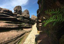 中国酉阳红石林