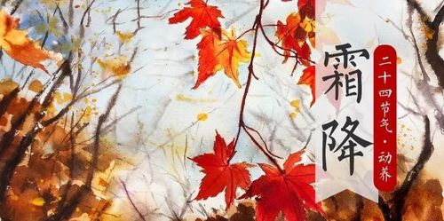 【中国二十四节气】之霜降