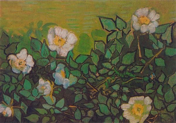 alice hsiao的相册-文森特·梵高