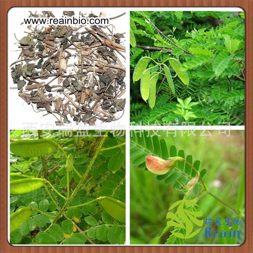 水皂角提取物 皂角苷8% 原料粉 瑞盈批发价 品质保证