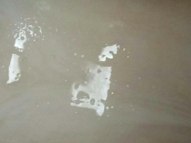 尿在大便器里面有一些小泡泡