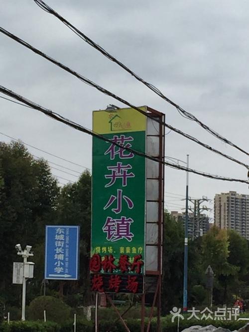 花卉小镇烧烤场图片 - 第17张