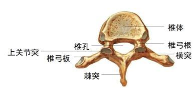 颈椎ct天天看这位27岁上班族的颈椎ct你看懂了吗