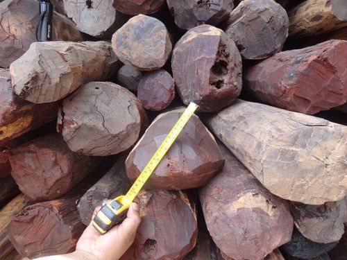 印度小叶紫檀原木(印度直供)