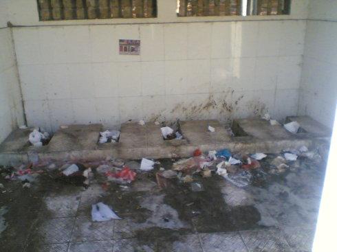 中国第几脏厕所?_灌云2009的博客_新浪博客