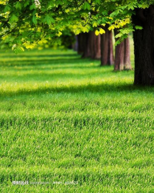 绿地草坪高清摄影桌面壁纸图片素材