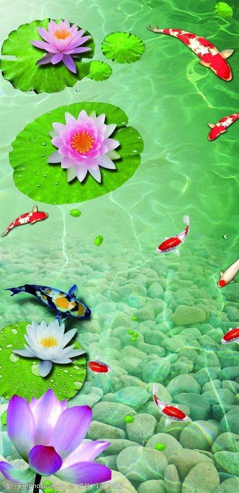 荷花九鱼图-玄关图片